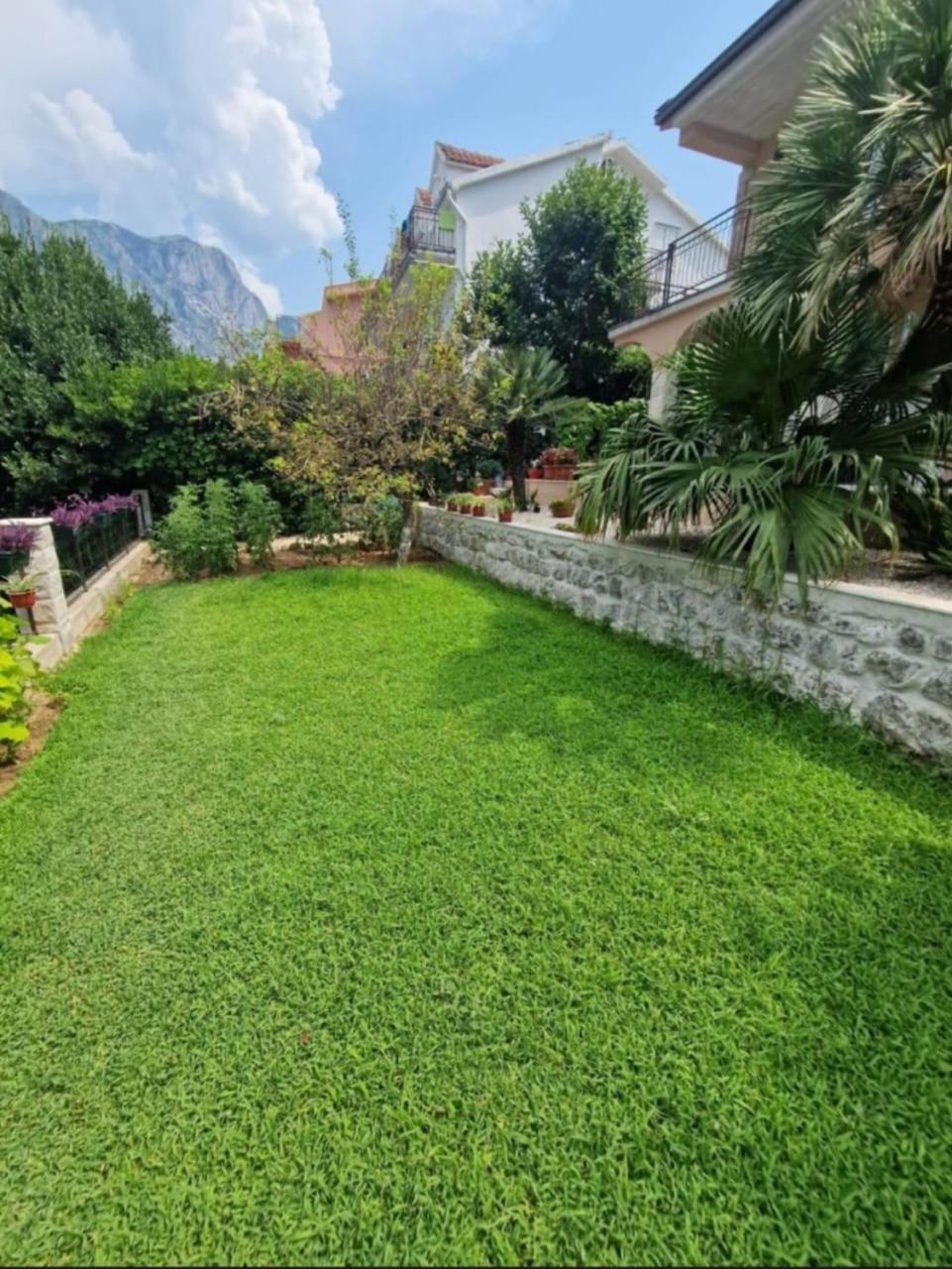 Boka Bay Apartment Kotor